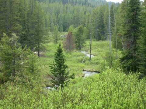 750 Summit Plat Road, Idaho City, ID 83607