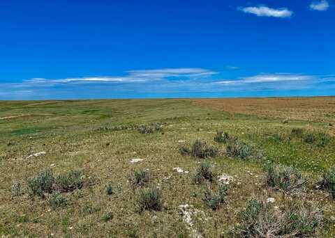 369 Acres South Phillips County, Malta, MT 59538