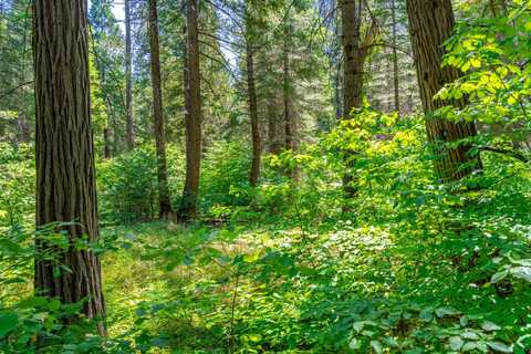 TBD Starkes Grade Road, Pollock Pines, CA 95726