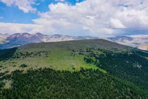 19287 LAMPHIER CLAIMS, Leadville, CO 80461