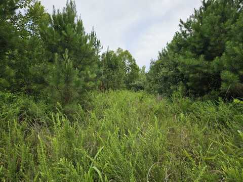 Tract 15 0 County Road 30, Brilliant, AL 35548