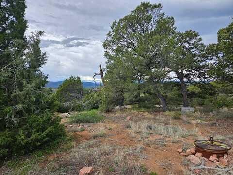 TBD Wild Turkey Trail, Canon City, CO 81212