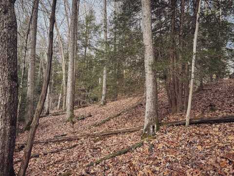 0 Whitewater Preserve, Bruceton Mills, WV 26525