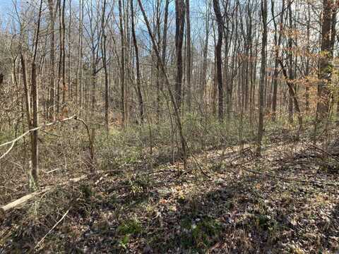 0 Largemouth Drive, Scottsville, KY 42164