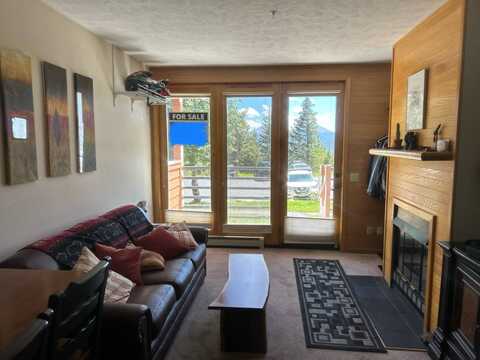 91400 Ryan Gulch Rd, Silverthorne`, CO 80498