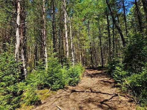 5 County B, Summit Lake, WI 54463