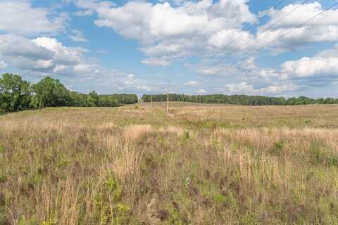 0 County Road 131, Clio, AL 36317