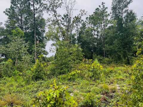 6283 Vanderbilt, Keystone Heights, FL 32656