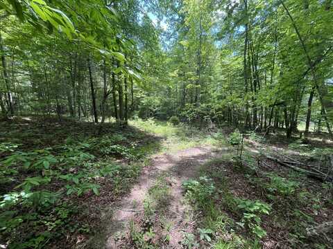 0 Coon Hollow Road, Sunbright, TN 37872