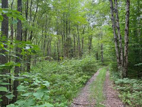 Lot 10 Lee Rd, Florence, NY 13316