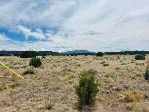 00 Northside, Quemado, NM 87829