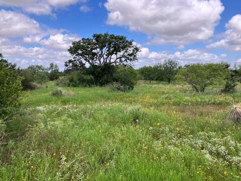 TBD CR 300, Lohn, TX 76852