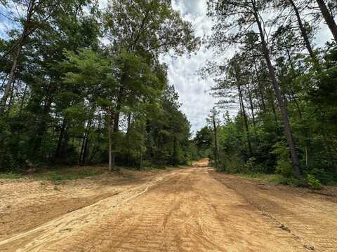 3 Ratliff Ferry Rd, Canton, MS 39046