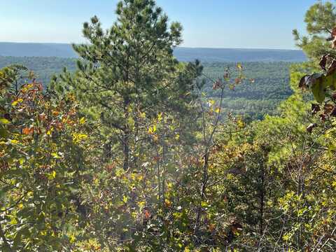 240 acres Woodland Trail, Daisy, OK 74540