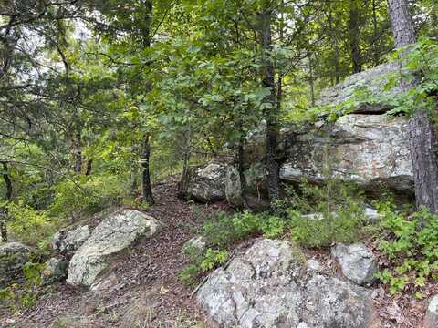 240 acres Woodland Trail, Daisy, OK 74540