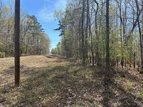 4 Halso Mill Road, Greenville, AL 36037