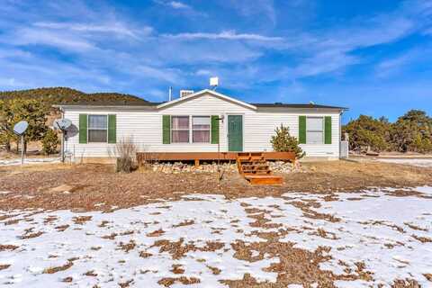 1063 25th Trail, Cotopaxi, CO 81223