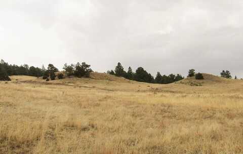 9697 Coyote Trail - Coyote Trail Acreage, Fort Laramie, WY 82212