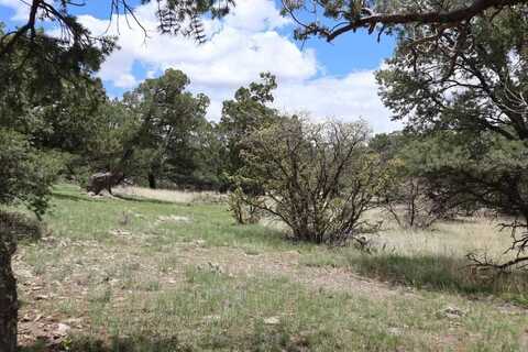 172 Windmill Circle, Datil, NM 87821