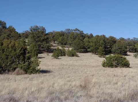 172 Windmill Circle, Datil, NM 87821