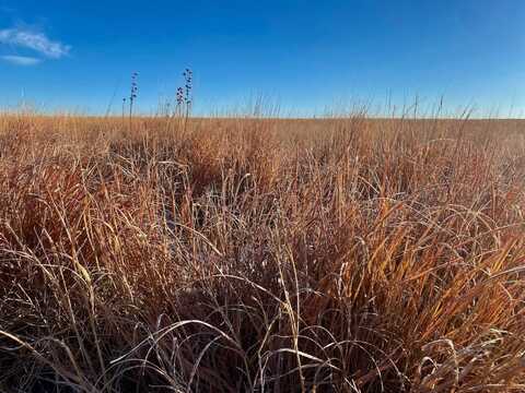 TBD County Road 8, Coolidge, KS 67836