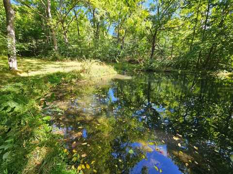 10 AC MOUNTAIN RD, OLD FIELDS, WV 26845