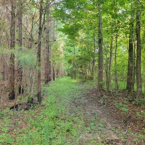 0 Highway 331, Sprague, AL 36105