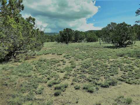 50 Deer Trail, Datil, NM 87821