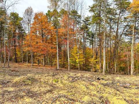 0 Fisher Ridge Rd Tract 2, Fleming, OH 45729