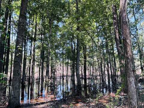 0 Suggs Mill Pond Road Lot 6, Reynolds, GA 31076