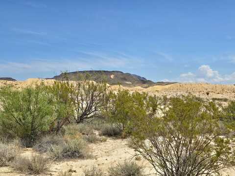 151 Herman's Draw, Terlingua, TX 79852