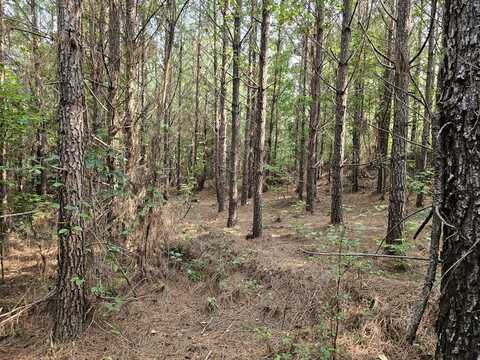 Tract 1 0 Alabama Hwy 44, Brilliant, AL 35548