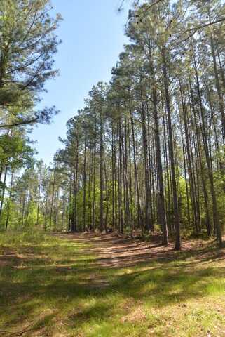 0 Stone Road Full Tract, Chester, SC 29706