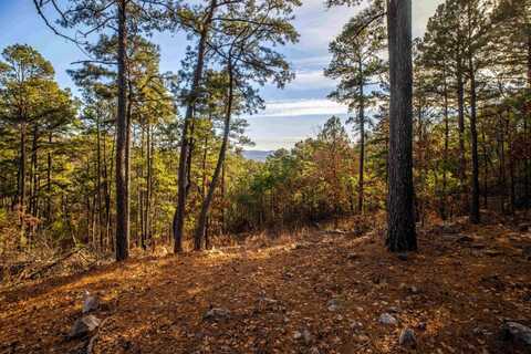 Lot 5 Phase 2 Timber Ridge Estates, Tuskahoma, OK 74574