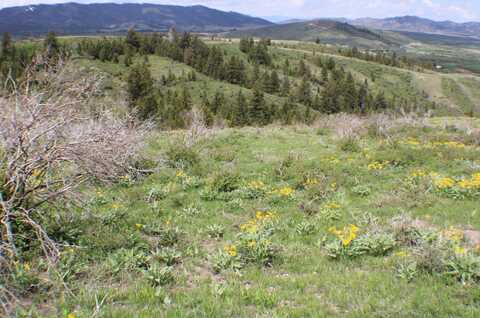 0 Caribou Village Subdivision, Phase 1, Block 2 Lots 42, 43, 44, Soda Springs, ID 83276