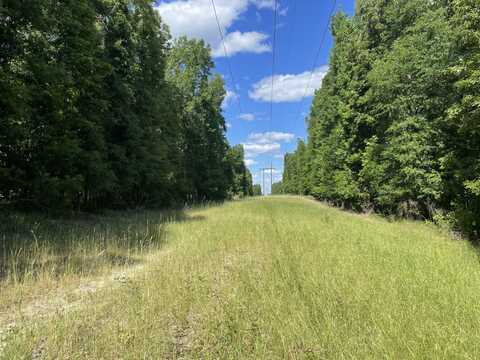 O HWY 17, Butler, AL 36904