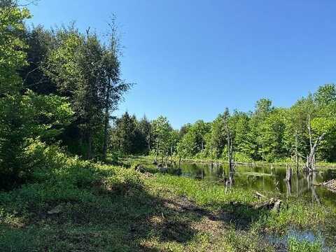 1.6 Mud Brook Road, Lewis, NY 13325