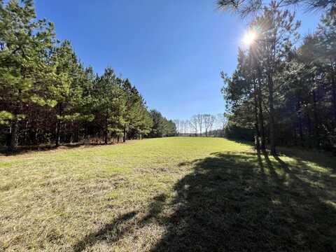 0 County Road 80, Tyler, AL 36785