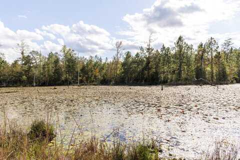 0 Whitehouse Fork Road, Bay Minette, AL 36507