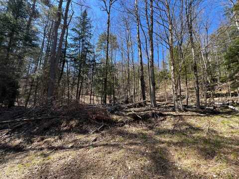 385 Johnson Rd, Adirondack, NY 12808