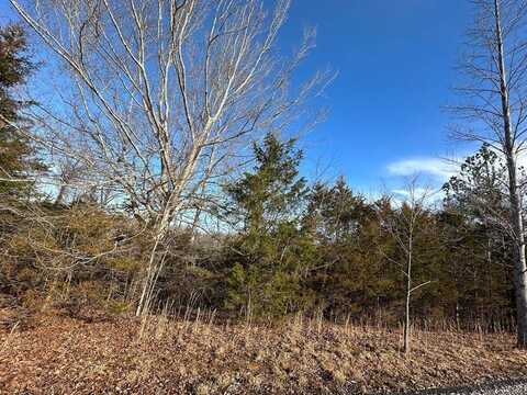 2.75 Acres Beauchamp Rd, Burkesville, KY 42717