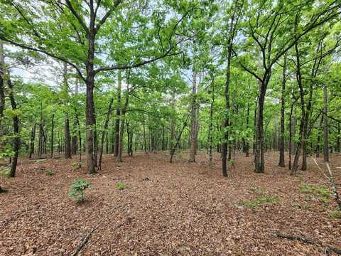 TBD Water Tower Road, Talihina, OK 74571