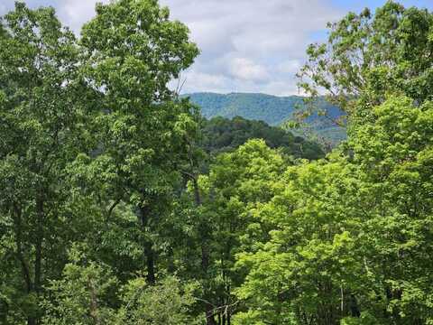 Powley Creek Road, Hinton, WV 25951