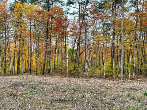 0 Fisher Ridge Rd Tract 8, Fleming, OH 45729