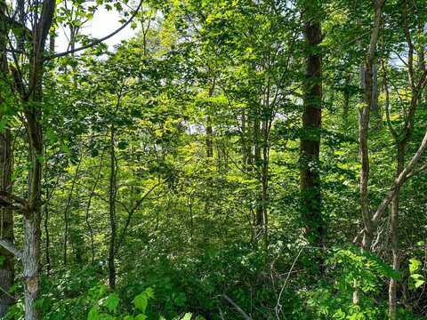 0 Fisher Ridge Rd Tract 8, Fleming, OH 45729