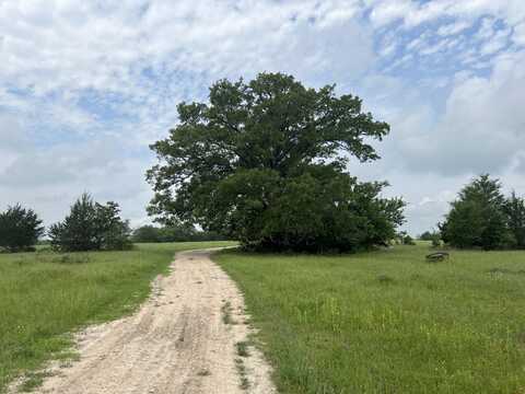 R13945 A0049 J Peterson, tract 11 Acres 50.715, Anderson, TX 77830