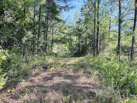 0 County Road 235 Tract 2, Leesburg, AL 35983