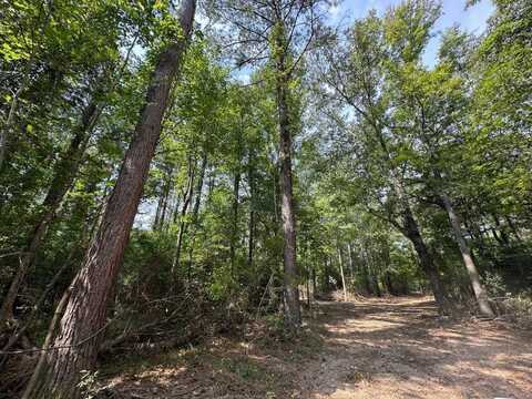 1 Pleasant Lane, Wesson, MS 39191