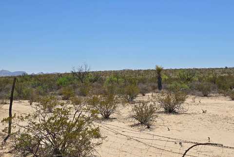 51350 State Highway 118, Terlingua, TX 79852