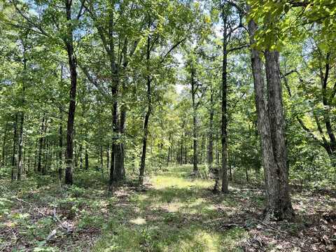 00 County Road 260, Tilly, AR 72679